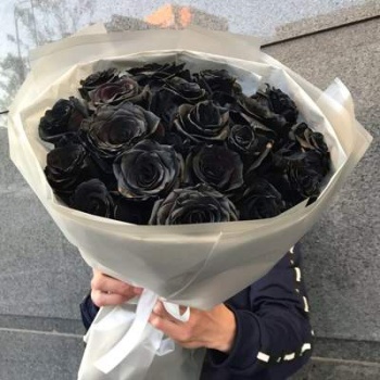Букет из 19 чёрных роз Premium